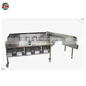 Efficient Vegetable and Fruit Sorting Machine/tomato Grader /orange Sorting Machine thumbnail-7
