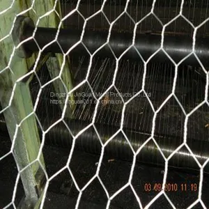 Poultry Wire Netting/Galvanized Chicken Wire thumbnail-1