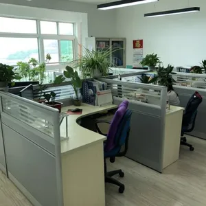 Jinan Gogo International Trade Co.,ltd company overview - view 2 thumbnail