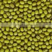 Green Mung Bean thumbnail-1