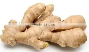 Good Price Yellow Frozen Ginger Root thumbnail-3