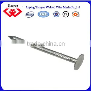 Large Steel Nails thumbnail-1
