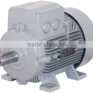 Squirrel Cage AC Motor thumbnail-1
