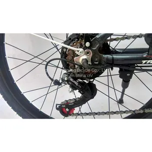 Aluminum Alloy Electric Touring Bike 7speed 24*15 E-Bike thumbnail-3