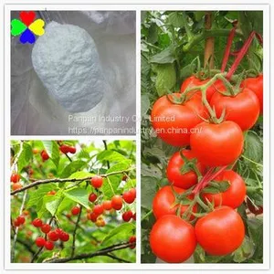 China Supplier Bnaphthoxyacetic Acid Cultivate Tomato Bnoa 98%tc Water Insoluble thumbnail-2