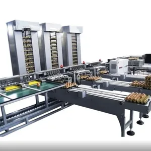 Egg Cleaning Sorting Packing Line thumbnail-2