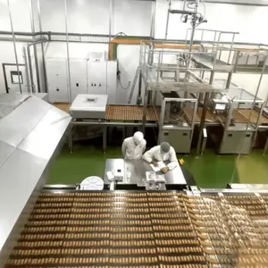 Genyond Top Quality Coconuts Candy Production Line thumbnail-1