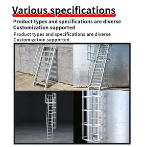 Outdoor Weatherproof Galvanized Steel Safety Ladder With Protective Cage for Building Exterior Wall thumbnail-2