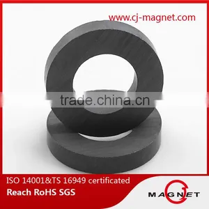 China Y20 Ferrite Magnets for Speakers thumbnail-5