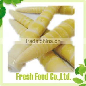 Canned Bamboo Shoot in Brine thumbnail-1