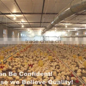 Hot Sale Birdsitter Hot Dip Galvanized Chicken Farming Poultry Feeding System thumbnail-3