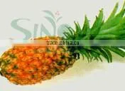Pineapple thumbnail-1