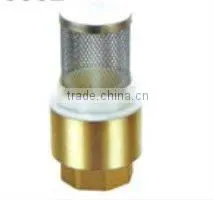 Brass Spring Check Valve With Filter thumbnail-1