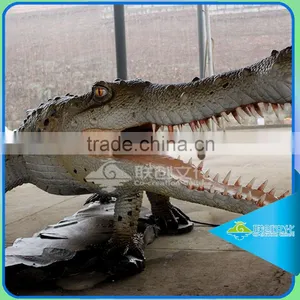Customized Animatronic Handmade Animal Model thumbnail-3