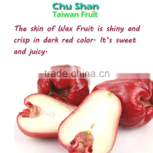 Good Quality Wax Apple for Sale thumbnail-6
