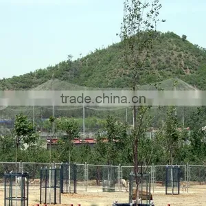 ss Wire Rope Mesh thumbnail-5