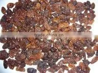 Dried Brown Sultana/Raisin thumbnail-5