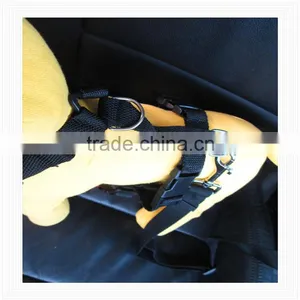 0066 YiWu Winipet Pet Item Made in China thumbnail-1