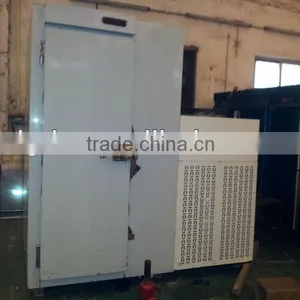Commercial Blast Freezer(-40C) thumbnail-1