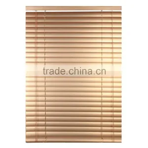 Aluminum Windows With Built in Blinds thumbnail-1