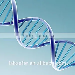 9703 Series Gradient PCR Price , PCR Thermal Cycler Cost in China thumbnail-4