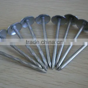 Steel Nail Common Iron Nails and Galvanized Nail thumbnail-1