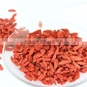 Manufacturer Supply Sun Dried Goji Berry/wolfberry Bulk thumbnail-1
