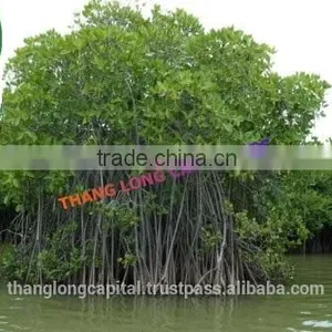Mangrove Charcoal for BBQ thumbnail-2