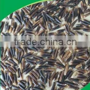 BROWN RICE - VIETNAM ORGANIC BLACK RICE thumbnail-1