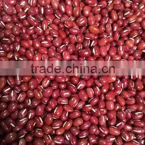 Small Red Pearl Bean thumbnail-1