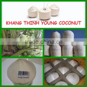 Fresh Young Coconut (Diamond/ Polish Shape) thumbnail-1