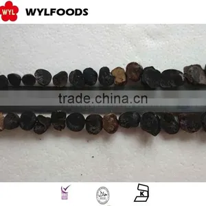 IQF Frozen Summer Truffle High Quality Good Price thumbnail-5