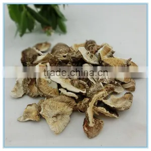 Black Shiitake Mushroom Slice thumbnail-2