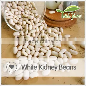 Foul Medames White Kidney Beans For Canning thumbnail-2