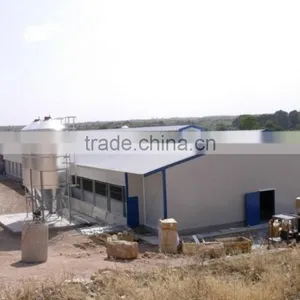 Steel Structure Chicken Shed /environmental Control Steel House thumbnail-1