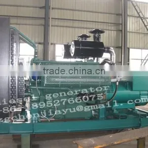 Heavy Duty Diesel Generator thumbnail-1