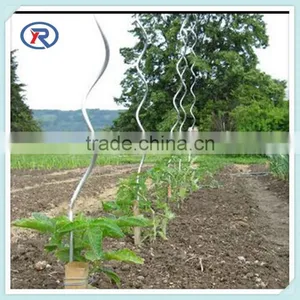 Tomato Spiral Support Wire/Tomato Shelves/wire Frame for Plant thumbnail-5