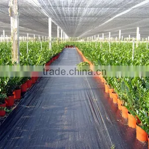 PP Weed Block Landscape Fabric Mesh thumbnail-2