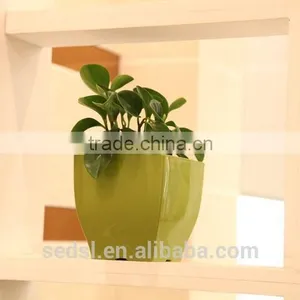 " TOP 1 Pot Supplier" Decoration Container Homes for Sale Home Gardening Plastic Pots thumbnail-6