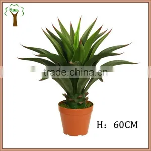 Mini Fake Agave Plant Bonsai thumbnail-1
