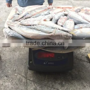 Hot Sales High Quality BQF Frozen Pacific Mackere thumbnail-2