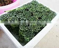 Triple Q International Co.,ltd. company overview - view 3 thumbnail
