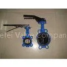 Europe Type Class125 / ANSI B16.2 / Class250 Handle / Gear Cast Iron Butterfly Valve thumbnail-1