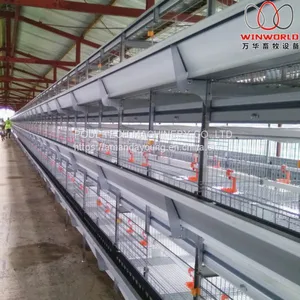 Malawi Poultry Farming H Type Automatic Broiler Chicken Cage & Broiler Cage With Automatic Feeding Machine thumbnail-1