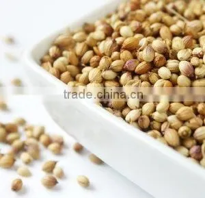 Indian Coriander Seed thumbnail-1