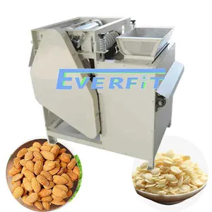 Almond Peeling Machine Price | Wet Almond Peeling Machine | Machine for Pealing Almonds thumbnail-1