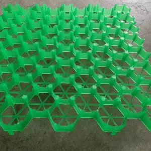 5cm7cm Flower Mouth Flat Mouth Grass Green Parking Lot Fire Lane Roof Garden Grass Planting Grid thumbnail-1