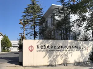 BFMP is a Global Expert in Power Plant EPC Solutions thumbnail-1