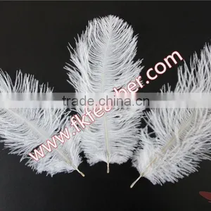 Wholesale Cheap DIY Multicolor Craft Small White Ostrich Feather 15cm to 20cm For Wedding Decorations thumbnail-6