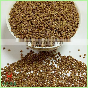 Common Cultivation Type Brown Color Roasted Buckwheat Wholesale thumbnail-4
